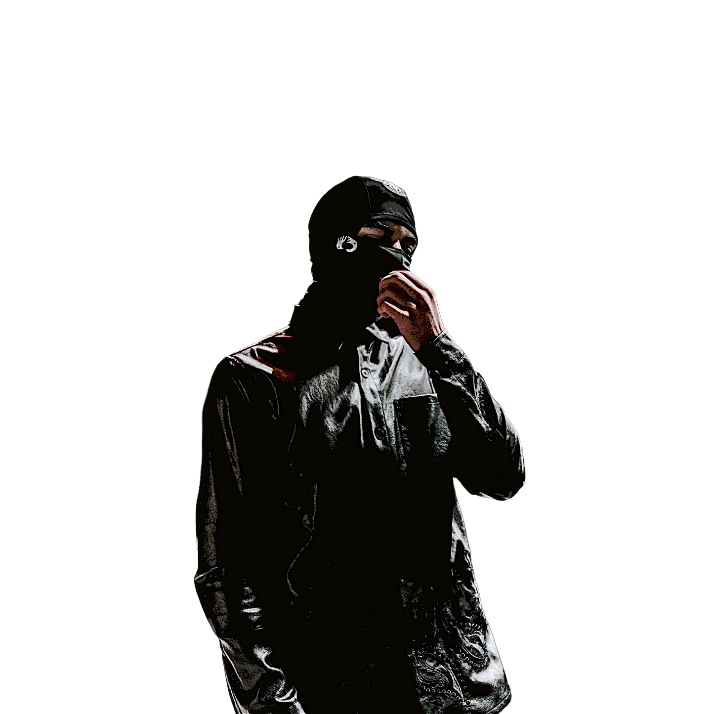 Ski Mask